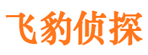 新田出轨调查